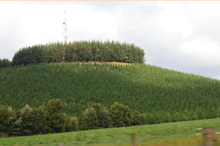 The ‘Mohawk’ hill